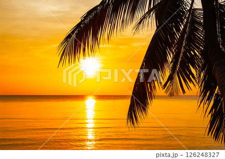 Silhouette of coconut palm tree leaves at tropical sunset on Koh Tao in Thailand. 126248327