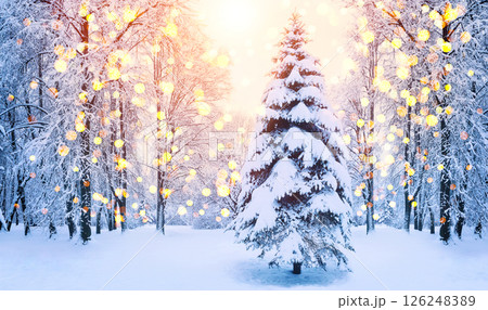 Christmas fir tree in winter forest, scene with sunlight and bokeh. Christmas winter background with garland lights. 126248389
