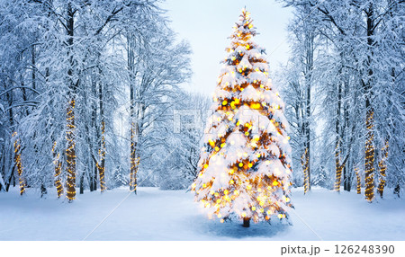 Christmas fir tree in winter forest, scene with sunlight. Christmas winter background with garland lights. Christmas fir tree in winter forest, scene with sunlight. Christmas winter background with garland lights. 126248390