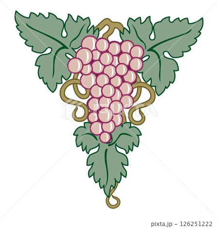 Grape vine or grape branch decorative elements, vector set. Isolated hanging grape twigs with green and purple berries. Framing or decor for banner design 126251222