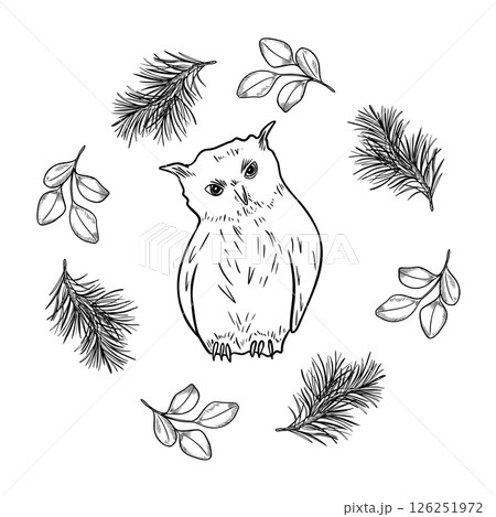 Owl in circle clipart with woodland plants pine branches and rowan berries black white line art illustration. Hand drawn snowy owl bird, winter botanicals for holiday print, rustic seasonal dishware. Owl in circle clipart with woodland plants pine branches and rowan berries black white line art illustration. Hand drawn snowy owl bird, winter botanicals for holiday print, rustic seasonal dishware. 126251972
