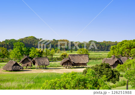 弥生のムラ 安国寺集落遺跡公園 弥生のムラ 安国寺集落遺跡公園 126251988