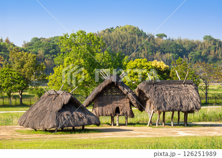 弥生のムラ 安国寺集落遺跡公園 126251989