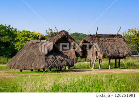 弥生のムラ 安国寺集落遺跡公園 126251991