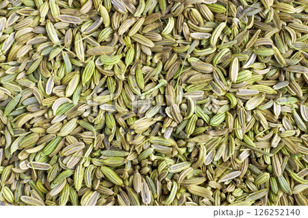 dried fennel background top view dried fennel background top view 126252140
