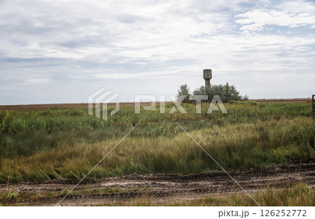Picturesque rural landscape with a field of grass, a water tower on the horizon 126252772