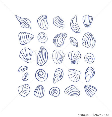 Hand drawn sea shells cliparts 126252838