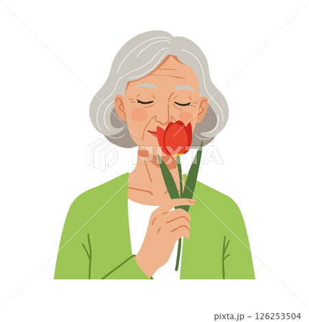 Elderly woman smelling red tulip flower in green cardigan vector illustration Elderly woman smelling red tulip flower in green cardigan vector illustration 126253504