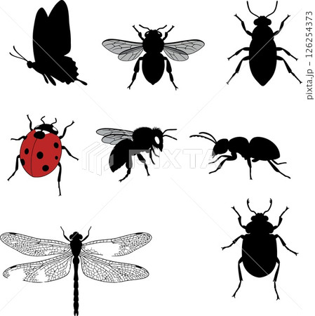 Various insect silhouettes including butterfly ladybug bee ant dragonfly vector illustration 126254373