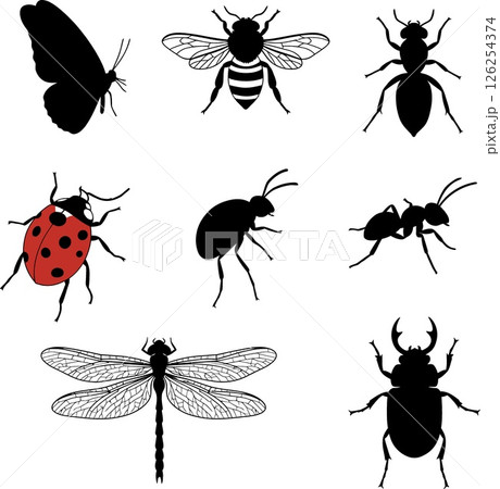 Insect silhouettes collection including butterfly bee ant ladybug beetle and dragonfly vector illustration Insect silhouettes collection including butterfly bee ant ladybug beetle and dragonfly vector illustration 126254374