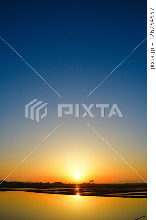 朝の弥彦大鳥居(新潟県) 朝の弥彦大鳥居(新潟県) 126254557