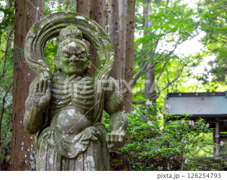 両子寺仁王像 126254793