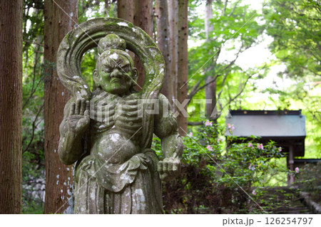 両子寺仁王像 両子寺仁王像 126254797