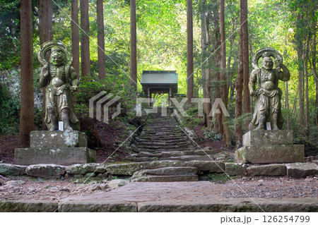 両子寺仁王像 126254799