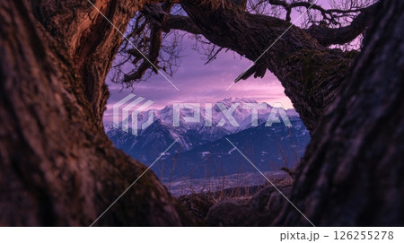 Scenic view of snow-capped mountains through tree trunk at twilight. 126255278