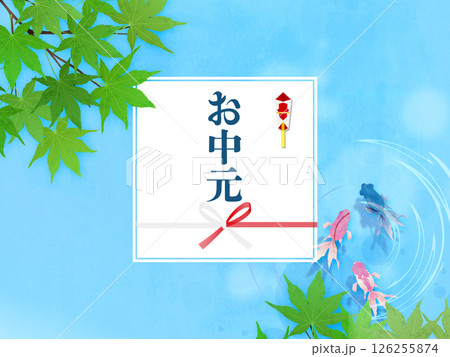 金魚が泳いでいる夏イメージ　夏のお中元 126255874
