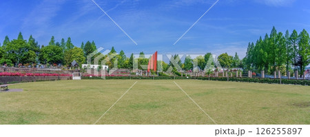 青空バックに見る満開のバラが咲く公園のパノラマ情景 126255897
