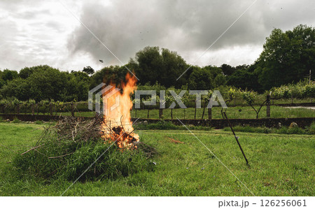 Vineyard field fire Vineyard field fire 126256061