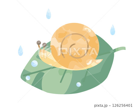 葉の上のカタツムリと雨のイラスト 126256401