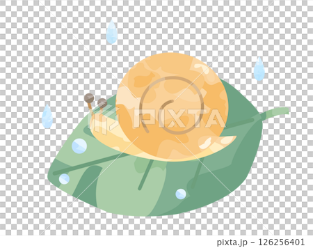 葉子和雨上的蝸牛插圖 葉子和雨上的蝸牛插圖 126256401