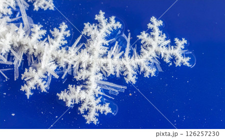 Salt crystals forming fractal Background. Generated Image Salt crystals forming fractal Background. Generated Image 126257230