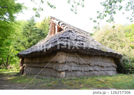 矢瀬遺跡の縄文時代の住居遺構、祭祀遺構 126257306