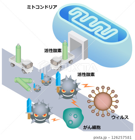 ミトコンドリアと活性酸素と免疫システム 126257581