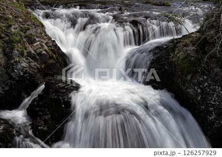 早春の三階滝 早春の三階滝 126257929