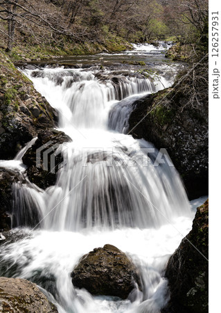 早春の三階滝 早春の三階滝 126257931