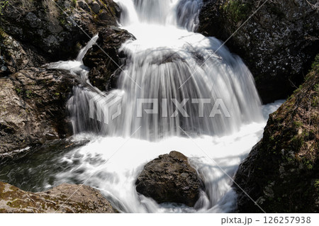 早春の三階滝 126257938