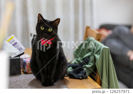黒猫 126257971