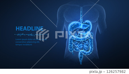 Abstract wireframe intestinal human digestive system. Gut health, bowel disease, gastrointestinal tract. Abstract wireframe intestinal human digestive system. Gut health, bowel disease, gastrointestinal tract. 126257982