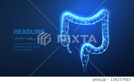 Large intestine. Gut health, bowel disease, gastrointestinal tract. Large intestine. Gut health, bowel disease, gastrointestinal tract. 126257983