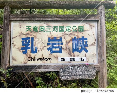 乳岩 126258700