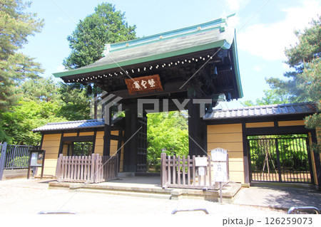 豪徳寺の門 豪徳寺の門 126259073