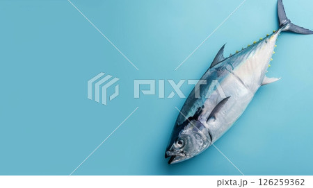 Tuna fish ocean protein healthy food, flat lay copy space background 126259362