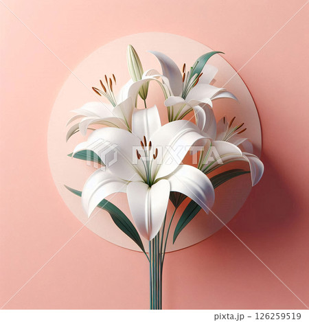 清らかな一輪の百合 126259519