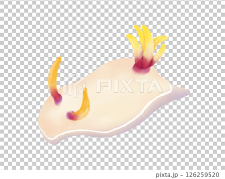 巨型海蛞蝓的水彩插圖 126259520