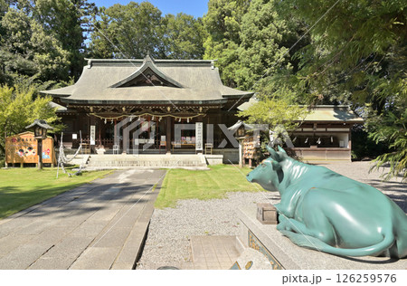 佐野散歩：朝日森天満宮　栃木県佐野市天神町 126259576
