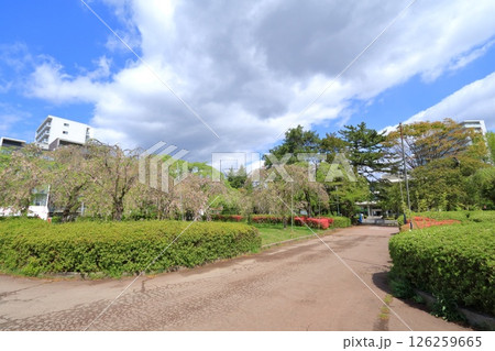 宮城県・仙台市・榴岡公園 126259665