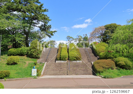 宮城県・仙台市・榴岡公園 126259667