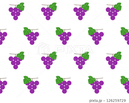 ブドウのシームレスパターン　A-1 126259729