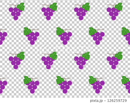 ブドウのシームレスパターン　A-1 126259729