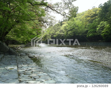 三重県伊勢市五十鈴川 126260089