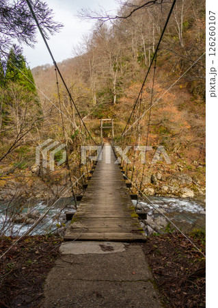 241126秋山郷見倉橋 241126秋山郷見倉橋 126260107
