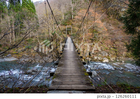 241126秋山郷見倉橋 126260111