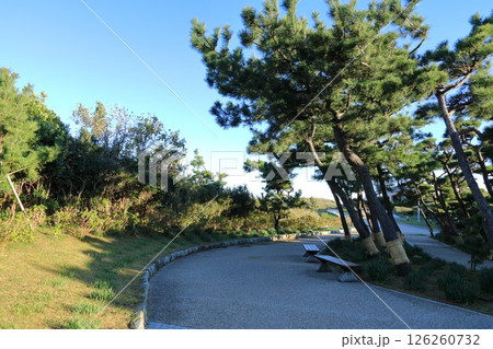 神奈川県・三浦市・城ヶ島公園 126260732