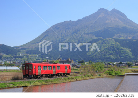 由布岳と赤い列車（JR九州　キハ220形） 126262319