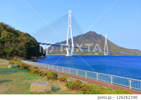 【広島県】春の道の駅多々羅しまなみ公園から見た(多々羅大橋) 【広島県】春の道の駅多々羅しまなみ公園から見た(多々羅大橋) 126262390