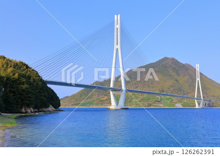 【広島県】春の道の駅多々羅しまなみ公園から見た（多々羅大橋） 126262391